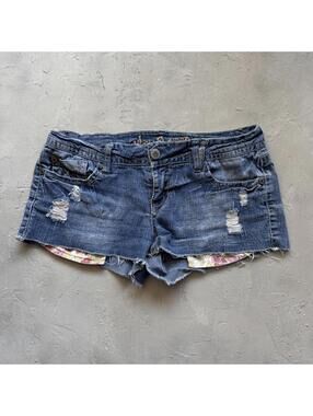 Vintage Y2K Wallflower Ultra Low Rise Mini Denim Shorts